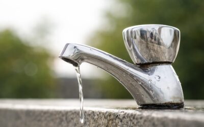 5 reguli simple care te feresc de toxiinfecție în vacanță