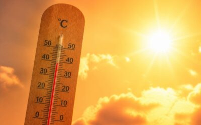 Canicula poate pune presiune pe inimă chiar și la persoanele sănătoase, iar decesele au crescut cu peste 50%