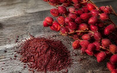 Ce arată cercetările despre sumac și de ce contează să alegi doar varietățile cu fructe roșii