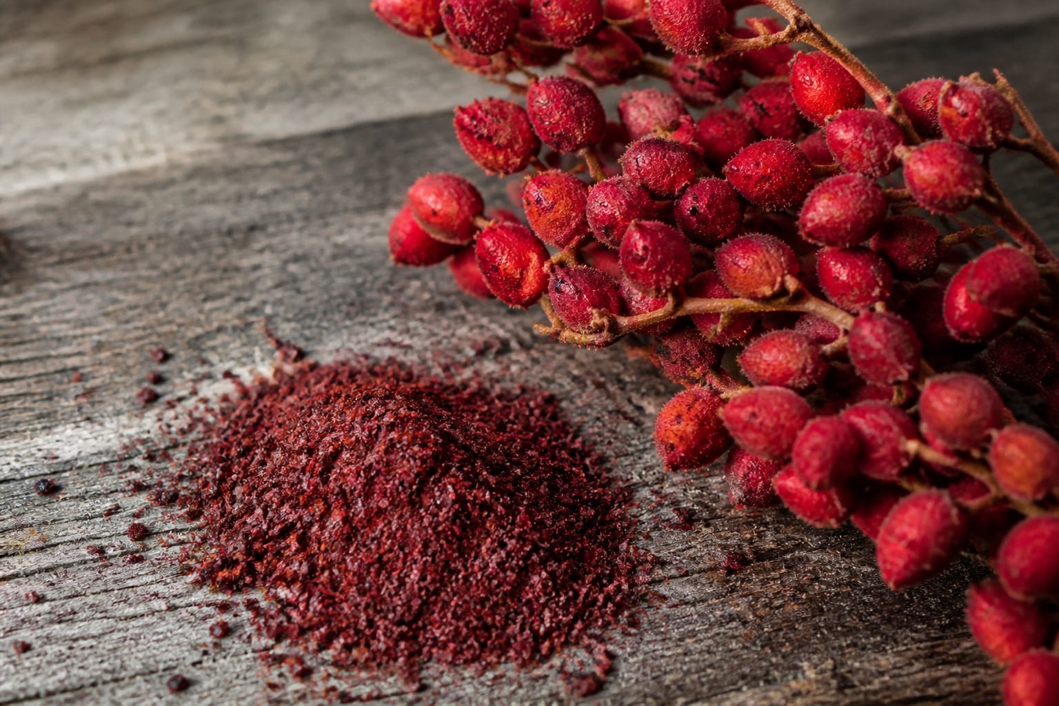 Ce arată cercetările despre sumac și de ce contează să alegi doar varietățile cu fructe roșii