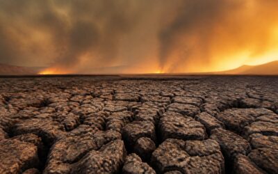 Fumul din incendiile canadiene poate afecta pielea și agrava iritațiile