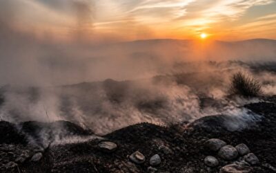 Fumul incendiilor crește riscul pentru fertilitate și sănătatea copiilor
