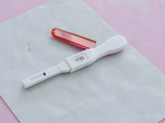 Gena Nfkb1 a fost legată de prelungirea vieții reproductive feminine