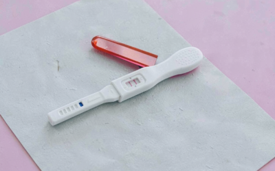 Gena Nfkb1 a fost legată de prelungirea vieții reproductive feminine