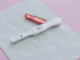 Gena Nfkb1 a fost legată de prelungirea vieții reproductive feminine